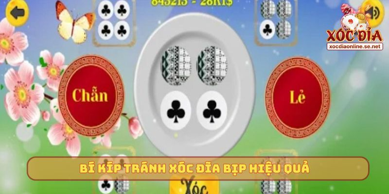 Bí kíp tránh Xóc Đĩa bịp hiệu quả