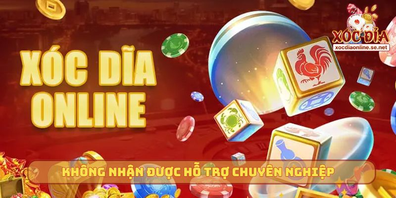 Sai lầm khi chơi Xóc Đĩa - Không nhận được hỗ trợ chuyên nghiệp