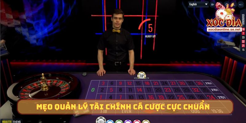 Mẹo quản lý tài chính cá cược cực chuẩn