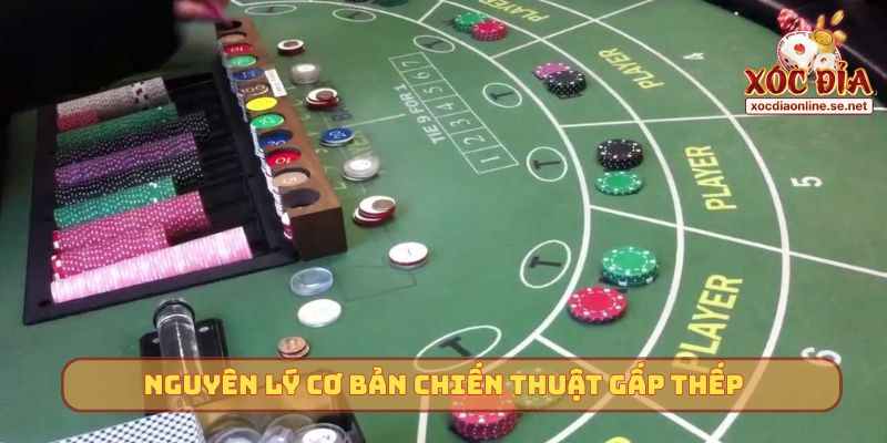 Nguyên lý cơ bản chiến thuật gấp thếp