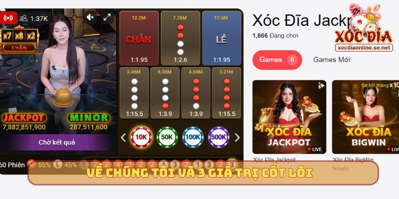 Về chúng tôi và 3 giá trị cốt lõi